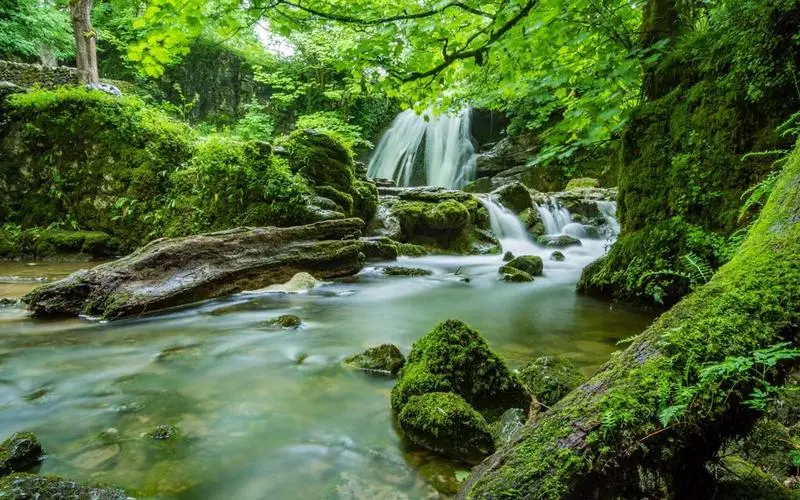 可靠性高精度